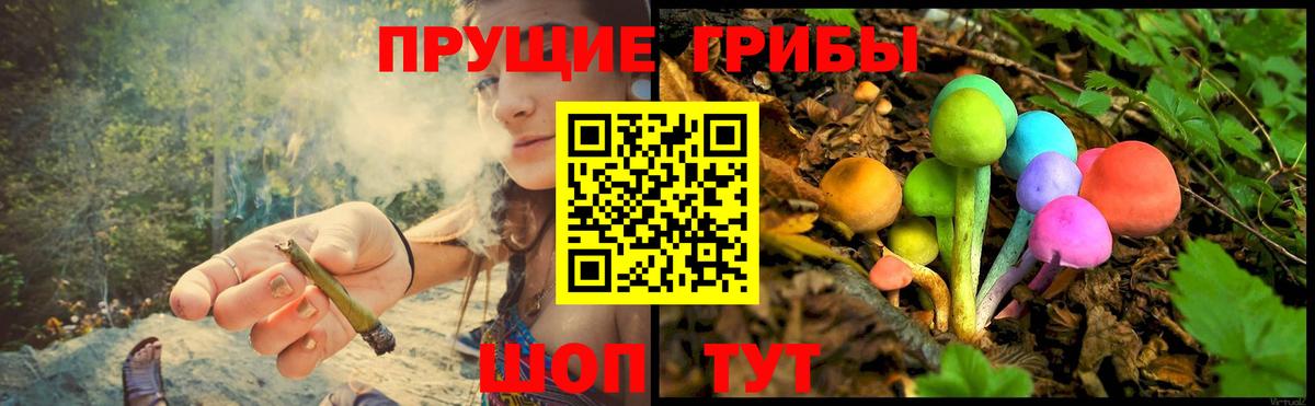 Галлюциногенные грибы мицелий  Вход с VPN  Коммунар 